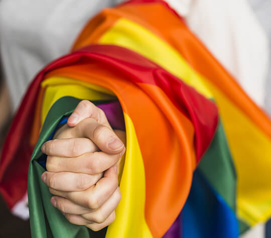 LGBTQ-Leihmutterschaft in Deutschland