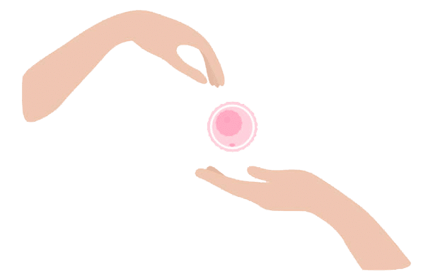 egg donation