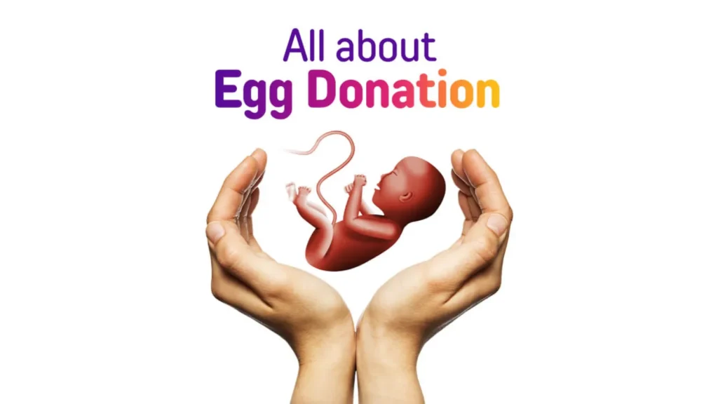 Egg Donor In Cyprus