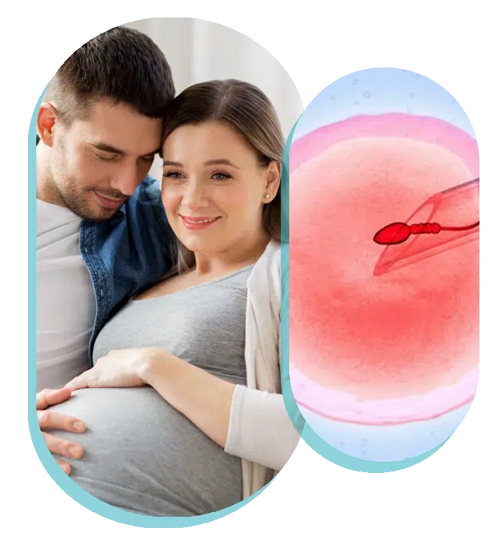 IVF treatment UK