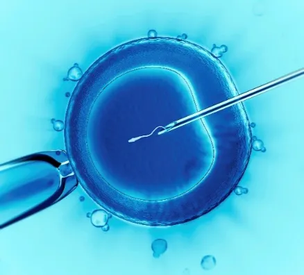 IVF In Albania: The Ultimate Guide | Gaia Fertility