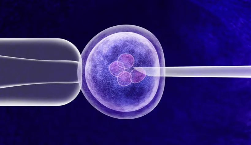 Your Expert For IVF Treatment In Albania