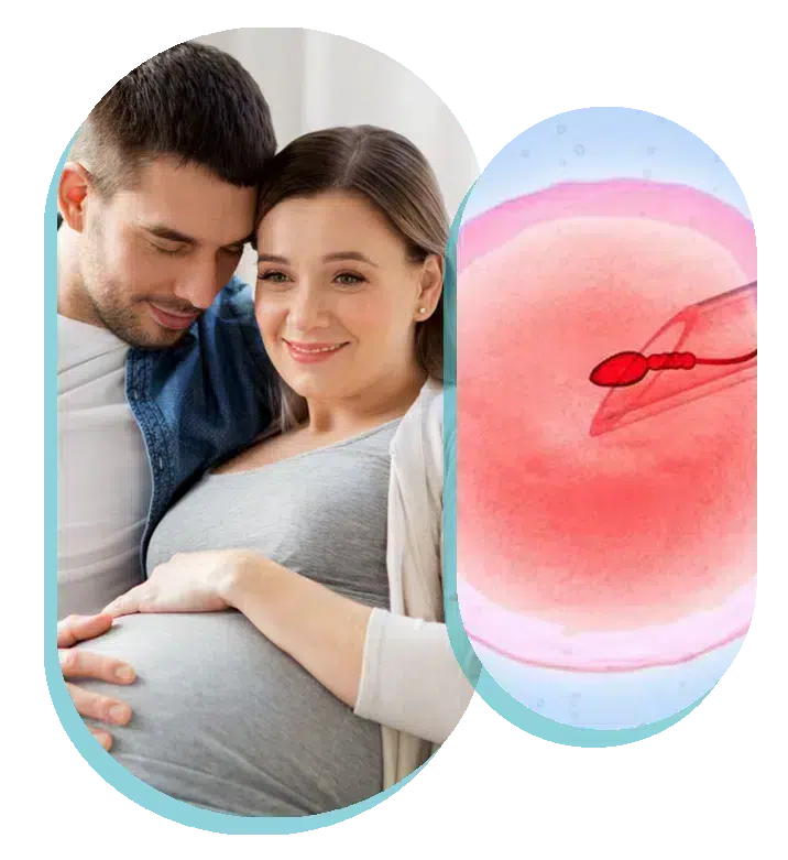 ivf in sweden